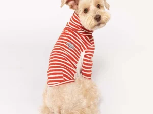 Stripe Tee Rust and Ivory